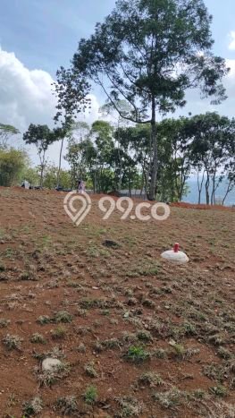 Dijual Tanah Lokasi Cibubur, Jakarta Timur Seluas 400m2 Dijual Tanah Lokasi Cibubur, Jakarta Timur Seluas 400m2