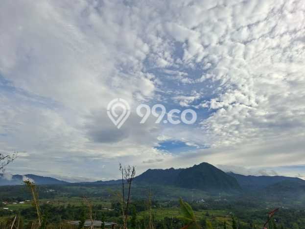 Tanah Dijual Lokasi Strategis di Depok dengan Luas 500m2 Tanah Dijual Lokasi Strategis di Depok dengan Luas 500m2