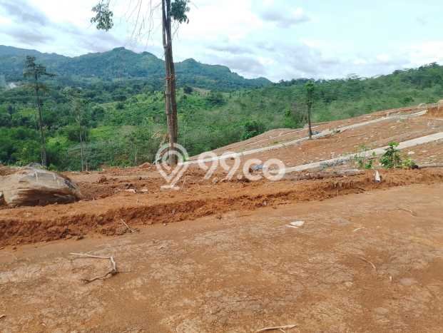 Lahan Kosong Dijual di Bogor dengan Area 500m2 Lahan Kosong Dijual di Bogor dengan Area 500m2