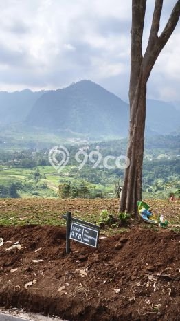 Jarang Ada! Tanah di Cimanggis Punya Luas 1000m2 SHM Jarang Ada! Tanah di Cimanggis Punya Luas 1000m2 SHM