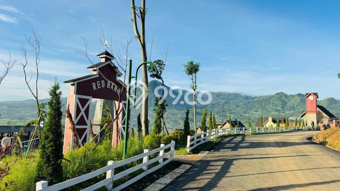 Lahan Dijual Lokasi Cileungsi, Bogor dengan Luas Tanah 250m2 dan Status SHM Lahan Dijual Lokasi Cileungsi, Bogor dengan Luas Tanah 250m2 dan Status SHM