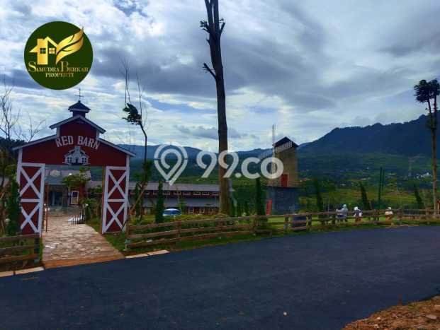 Kavling Tanah Dijual di Cibinong Bogor Spesifikasi 1000m2 Kavling Tanah Dijual di Cibinong Bogor Spesifikasi 1000m2