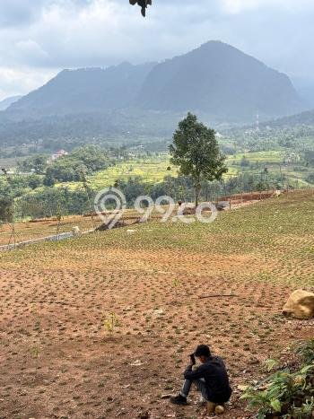 Tanah Investasi Dijual di Bogor Punya Luas 1000m2 Tanah Investasi Dijual di Bogor Punya Luas 1000m2