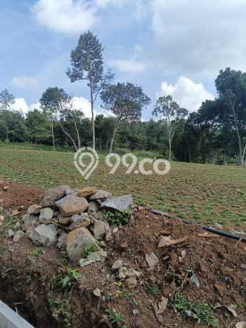 Kavling Tanah untuk Dijual di Tanah Sareal, Bogor, Luas 1000m2 Kavling Tanah untuk Dijual di Tanah Sareal, Bogor, Luas 1000m2