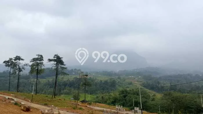 Tanah Investasi Dijual di Bogor Punya Luas 1000m2 Tanah Investasi Dijual di Bogor Punya Luas 1000m2