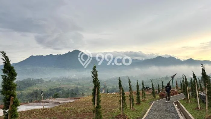 Tanah Kavling Dijual di Bogor dengan Spesifikasi 1000m2 Tanah Kavling Dijual di Bogor dengan Spesifikasi 1000m2