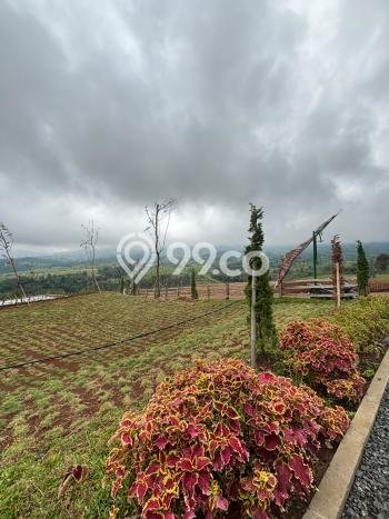 Tanah Dijual Area Strategis di Ciluar Bogor 1000m2 Tanah Dijual Area Strategis di Ciluar Bogor 1000m2