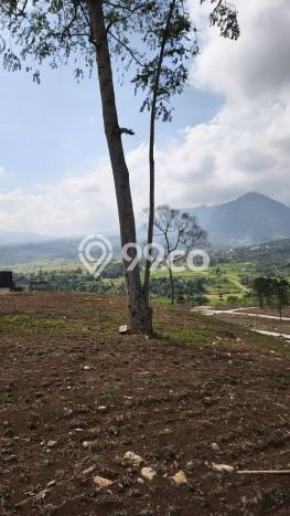 Tanah Kavling untuk Dijual di Cakung Jakarta Timur 500m2 Tanah Kavling untuk Dijual di Cakung Jakarta Timur 500m2