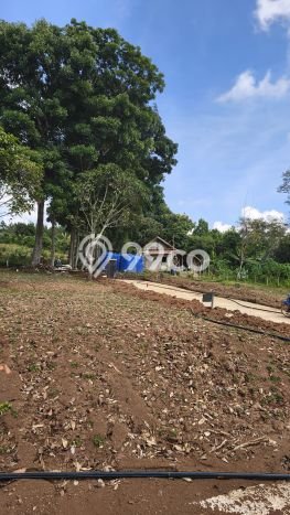 Untuk Dijual Tanah di Jagakarsa Jakarta Selatan Luas 1000m2 SHM Untuk Dijual Tanah di Jagakarsa Jakarta Selatan Luas 1000m2 SHM