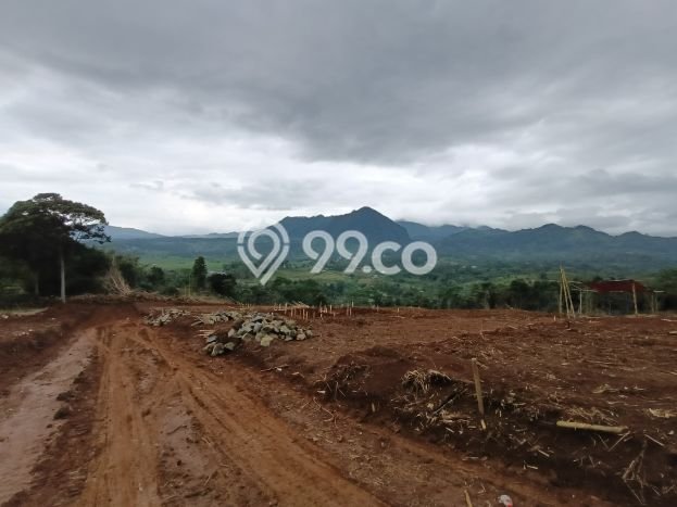 Tanah Kavling Dijual di Bintara, Bekasi dengan Luas Tanah 1000m2 Tanah Kavling Dijual di Bintara, Bekasi dengan Luas Tanah 1000m2