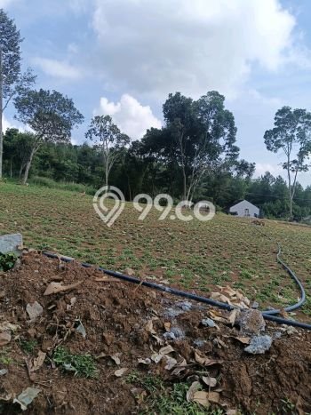 Dijual Tanah di Bogor Timur Bogor Luas 600m2 SHM Dijual Tanah di Bogor Timur Bogor Luas 600m2 SHM