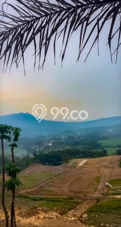 Tanah Dijual Lokasi Citeureup, Bogor dengan Luas Tanah 300m2 dan Status SHM Tanah Dijual Lokasi Citeureup, Bogor dengan Luas Tanah 300m2 dan Status SHM