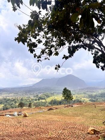 Tanah Kavling Dijual di Depok dengan Spesifikasi 400m2 Tanah Kavling Dijual di Depok dengan Spesifikasi 400m2