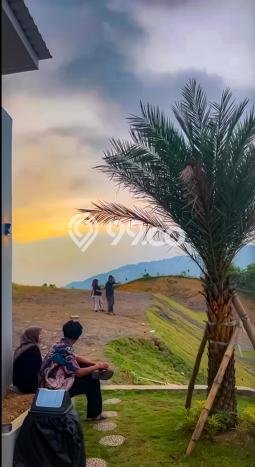 Tanah Dijual Lokasi Citeureup, Bogor dengan Luas Tanah 300m2 dan Status SHM Tanah Dijual Lokasi Citeureup, Bogor dengan Luas Tanah 300m2 dan Status SHM