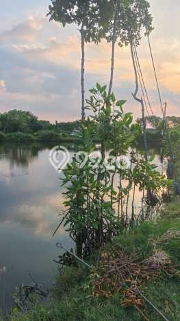 Tanah Strategis Dijual di Kramat Tegal 5595m2 Tanah Strategis Dijual di Kramat Tegal 5595m2