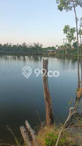 Tanah Strategis Dijual di Kramat Tegal 5595m2 Tanah Strategis Dijual di Kramat Tegal 5595m2