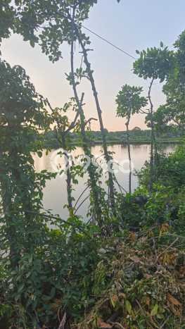 Tanah Strategis Dijual di Kramat Tegal 5595m2 Tanah Strategis Dijual di Kramat Tegal 5595m2
