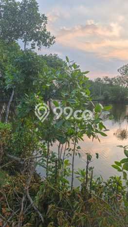 Tanah Strategis Dijual di Kramat Tegal 5595m2 Tanah Strategis Dijual di Kramat Tegal 5595m2