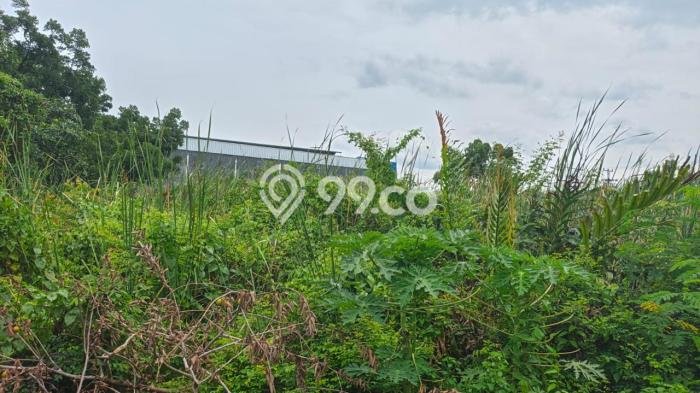 Tanah Strategis Dijual di Kramat Tegal 5595m2 Tanah Strategis Dijual di Kramat Tegal 5595m2