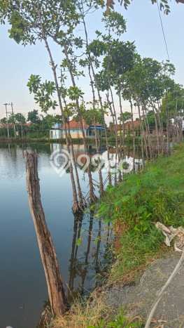 Tanah Strategis Dijual di Kramat Tegal 5595m2 Tanah Strategis Dijual di Kramat Tegal 5595m2