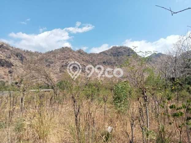 Tanah Kavling untuk Dijual di Buleleng Buleleng 264m2 Tanah Kavling untuk Dijual di Buleleng Buleleng 264m2