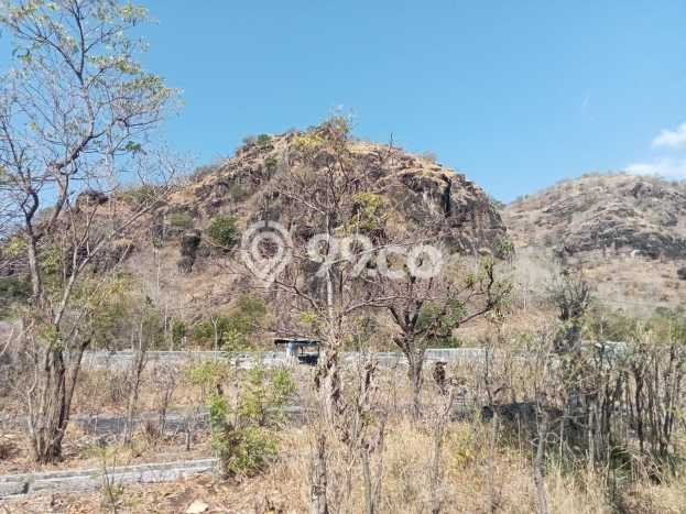 Tanah Kavling untuk Dijual di Buleleng Buleleng 264m2 Tanah Kavling untuk Dijual di Buleleng Buleleng 264m2