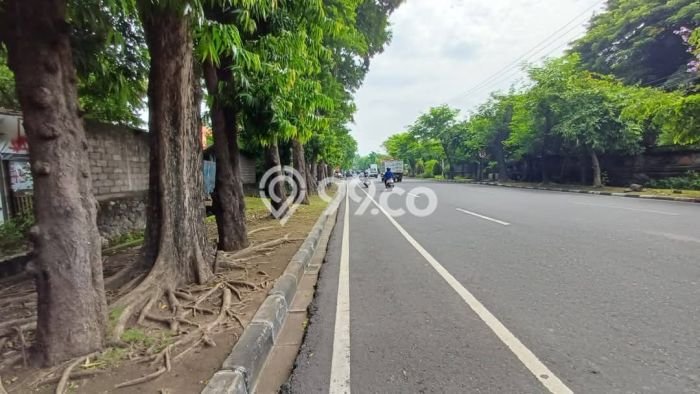 Tanah Dijual Lokasi Strategis di Denpasar dengan Luas 1000m2 Tanah Dijual Lokasi Strategis di Denpasar dengan Luas 1000m2