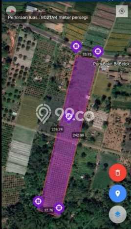 Tanah untuk Dijual di Petang Badung Luas 7700m2 Tanah untuk Dijual di Petang Badung Luas 7700m2