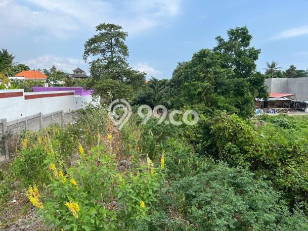 Tanah Kavling Dijual di Umalas, Badung dengan Luas Tanah 17200m2 Tanah Kavling Dijual di Umalas, Badung dengan Luas Tanah 17200m2