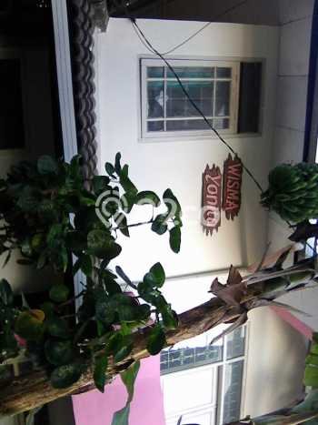 Unit Kost Dijual di Bandung Spesifikasi 35 Kamar Tidur dan Area Ramai Unit Kost Dijual di Bandung Spesifikasi 35 Kamar Tidur dan Area Ramai