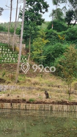 Tanah di Ciwidey, Bandung Luas 100m2 Dijual Segera Tanah di Ciwidey, Bandung Luas 100m2 Dijual Segera