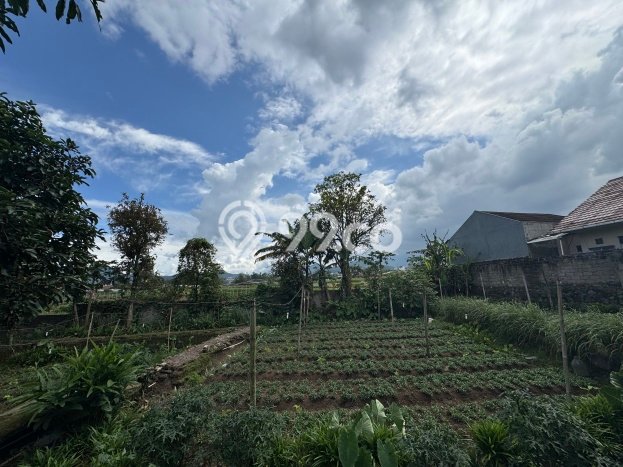 Jual Segera! Vila di Sukaresmi, Area 2830m2m², Kawasan Berkembang dengan potensi naik Jual Segera! Vila di Sukaresmi, Area 2830m2m², Kawasan Berkembang dengan potensi naik