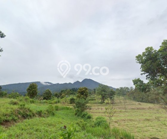 Tanah Dijual Lokasi Bogor Selatan, Bogor Luas 75057m2 Legalitas Aman Tanah Dijual Lokasi Bogor Selatan, Bogor Luas 75057m2 Legalitas Aman
