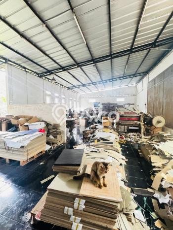 Gudang Bagus Dijual di Cinere Jakarta Selatan Lokasi Strategis Cocok untuk Kembangkan Bisnis Gudang Bagus Dijual di Cinere Jakarta Selatan Lokasi Strategis Cocok untuk Kembangkan Bisnis