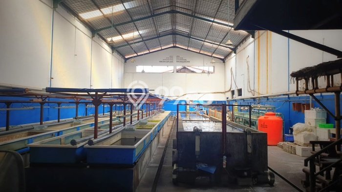 Unit Gudang Dijual di Jakarta Barat LT 645m2 & LB 645m2 Unit Gudang Dijual di Jakarta Barat LT 645m2 & LB 645m2