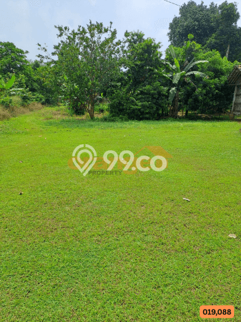 Kavling Tanah Dijual di Tajur Halang, Bogor, Luas 6400m2 Area Strategis Kavling Tanah Dijual di Tajur Halang, Bogor, Luas 6400m2 Area Strategis