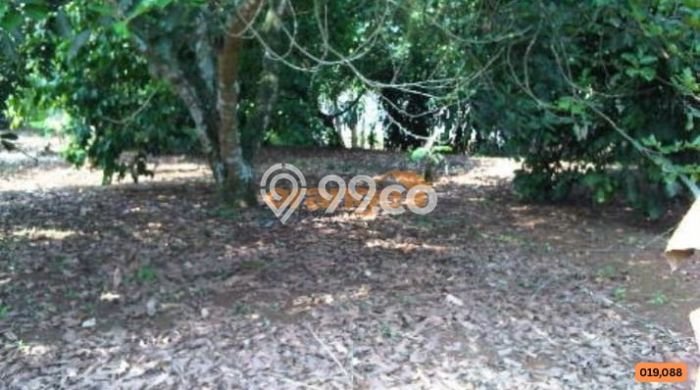 Kavling Tanah Dijual di Tajur Halang, Bogor, Luas 6400m2 Area Strategis Kavling Tanah Dijual di Tajur Halang, Bogor, Luas 6400m2 Area Strategis