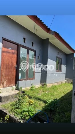 Rumah Minimalis 1 KT di Balangan Badung Rumah Minimalis 1 KT di Balangan Badung