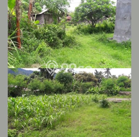 Tanah Dijual di Buleleng Seluas 100m2 Strategis Tanah Dijual di Buleleng Seluas 100m2 Strategis