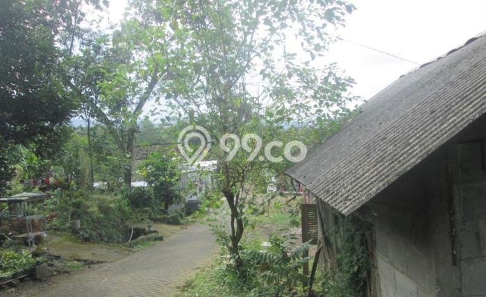 Tanah Kavling untuk Dijual di Prigen Pasuruan 4011m2 Tanah Kavling untuk Dijual di Prigen Pasuruan 4011m2