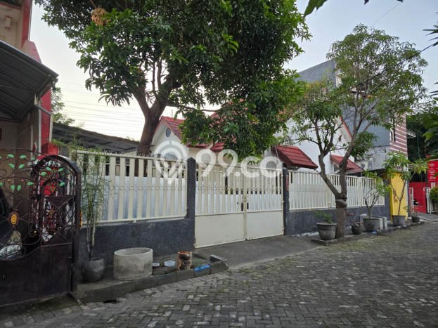 Jual Rumah Murah di Sidoarjo Sidoarjo Harga Rp 475 Juta LT 340m2 Jual Rumah Murah di Sidoarjo Sidoarjo Harga Rp 475 Juta LT 340m2