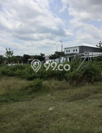 Lahan untuk Dijual di Bojonegoro Bojonegoro Luas 10000m2 Lahan untuk Dijual di Bojonegoro Bojonegoro Luas 10000m2