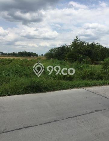 Lahan untuk Dijual di Bojonegoro Bojonegoro Luas 10000m2 Lahan untuk Dijual di Bojonegoro Bojonegoro Luas 10000m2