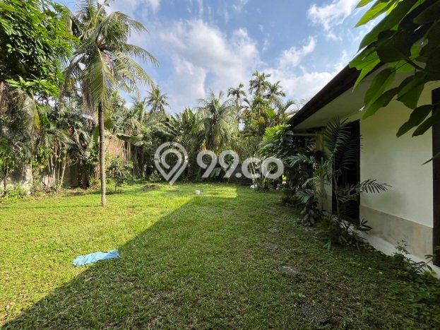 Hunian Terjangkau LT 1555m2 di Kemang Akses Mudah Hunian Terjangkau LT 1555m2 di Kemang Akses Mudah