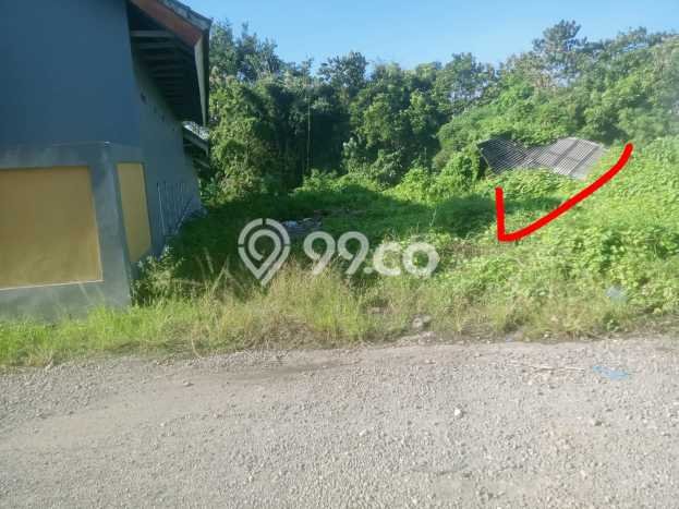 Lahan untuk Dijual Lokasi Baturiti, Tabanan Luas 1560m2 SHM Lahan untuk Dijual Lokasi Baturiti, Tabanan Luas 1560m2 SHM