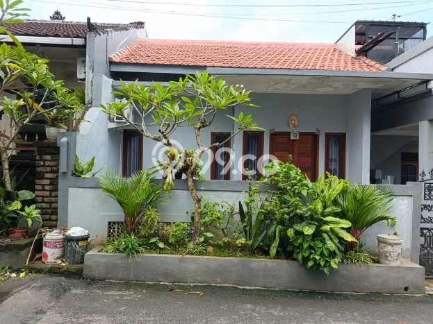 Jarang Ada! Rumah Sewa 3 Kamar Bagus Siap Huni Jimbaran Jarang Ada! Rumah Sewa 3 Kamar Bagus Siap Huni Jimbaran