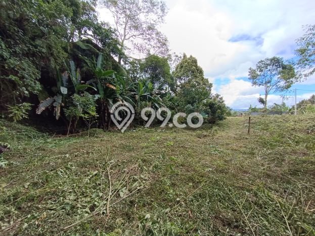 Lahan untuk Dijual Lokasi Baturiti, Tabanan Luas 1560m2 SHM Lahan untuk Dijual Lokasi Baturiti, Tabanan Luas 1560m2 SHM