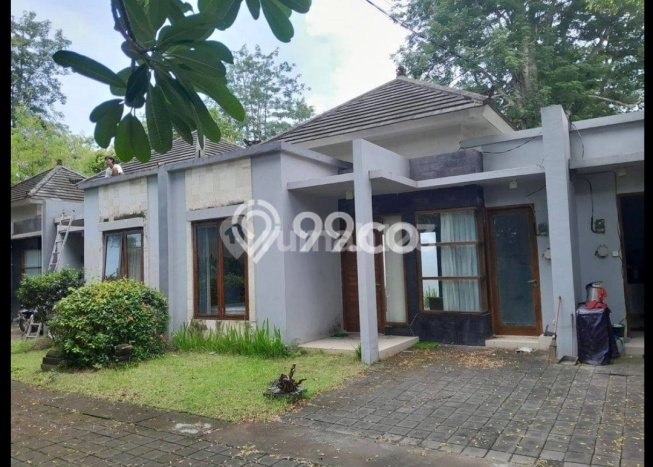 Rumah Luas Asri 2 KT Siap Pakai di Ungasan Badung Rumah Luas Asri 2 KT Siap Pakai di Ungasan Badung