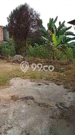 Lahan Kosong Dijual di Gunung Sindur, Bogor, Luas 1709m2 Area Strategis Lahan Kosong Dijual di Gunung Sindur, Bogor, Luas 1709m2 Area Strategis