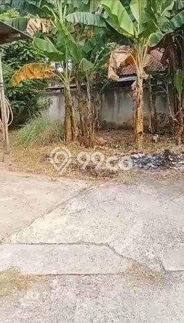 Lahan Kosong Dijual di Gunung Sindur, Bogor, Luas 1709m2 Area Strategis Lahan Kosong Dijual di Gunung Sindur, Bogor, Luas 1709m2 Area Strategis